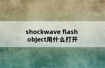 shockwave flash object用什么打开